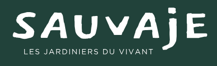 Vertdeco la ppinire - sauvaje